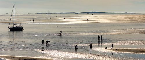 Strand Noordsvaarder Terschelling von Roel Ovinge