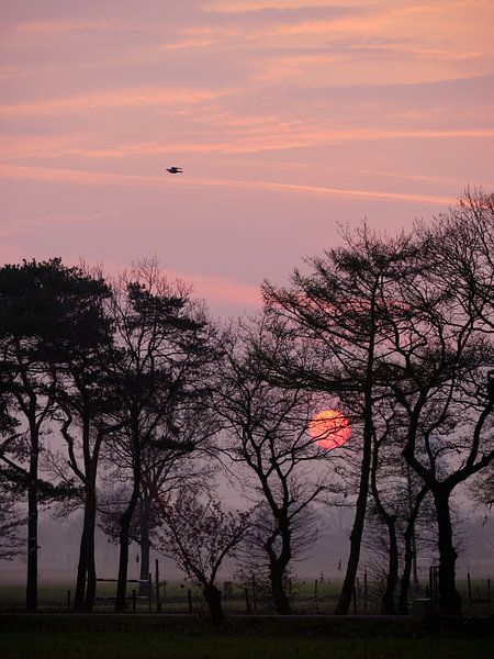 Rode zon by Jan Kooreman