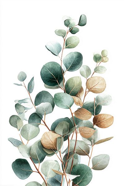 Eucalyptus by Steffen Gierok
