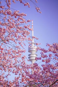 Olympische toren met achter kersenbloesems van Rafaela_muc