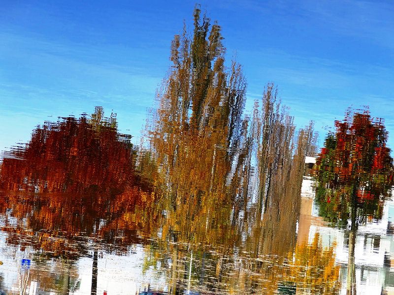 Tree Magic 69 von MoArt (Maurice Heuts)