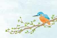 Kingfisher bird on tree branch