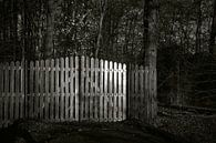 Reflected sunlight by André Bouterse thumbnail