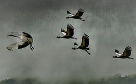 Es regnet Männer, Hallelujah von Moonheart Artworks