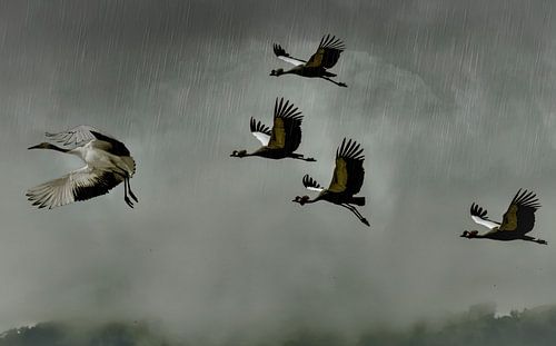 It's raining men, hallelujah