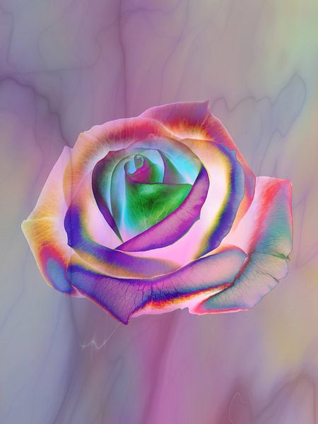 Pop Art Rose 1 by Claudia Gründler
