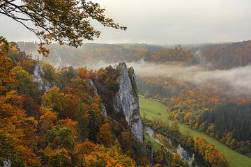 Stiegelesfelsen et Danube avec les derniers restes de brouillard vus depuis le point de vue de Burgstall - Parc naturel du Haut-Danube sur BlattArt - Christine Horn