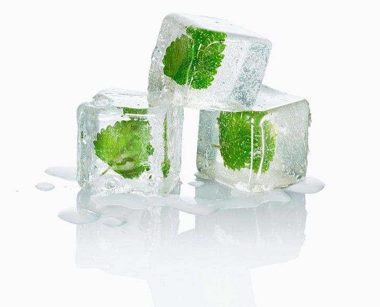 12340506 Three ice cubes with melissa leaves inside by BeeldigBeeld Food & Lifestyle