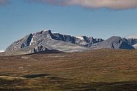 Dovrefjell Norvège