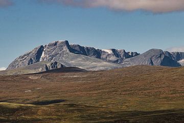 Dovrefjell Noorwegen van eddy Peelman