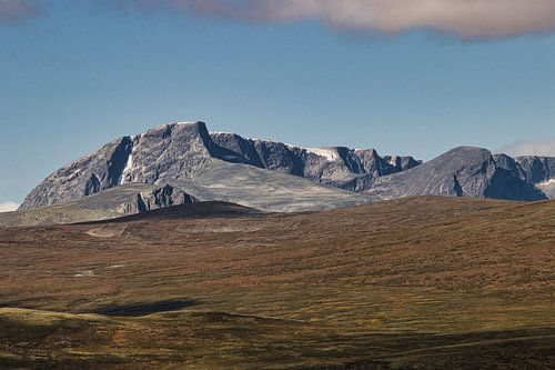 Dovrefjell Noorwegen