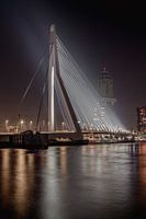 Rotterdam in de avond uren