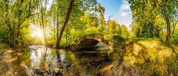 Oude brug over een beekje in het bos