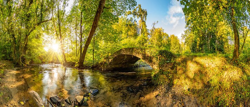 Vieux pont sur un ruisseau dans la forêt par Günter Albers