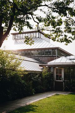 Sonnenstrahlen auf einem Pflanzengewächshaus in den botanischen Gärten von Leiden | Fine Art Urbanju