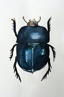 Aquarelle Blue Tor