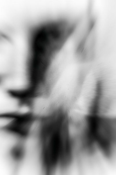 De zoektocht par Inge Vel
