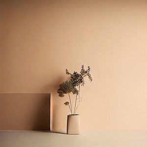 Plante dans un vase dans une pièce vide sur Maarten Knops