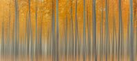Herfst Heerlijkheid