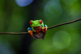 Costa Rica – wo Natur, Abenteuer und pure Schönheit aufeinander treffen