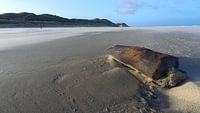 Strand Terschelling Noordvaarder