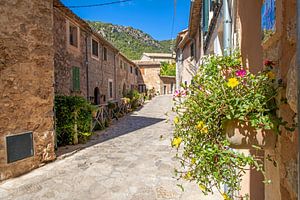 Mallorca - Valldemossa