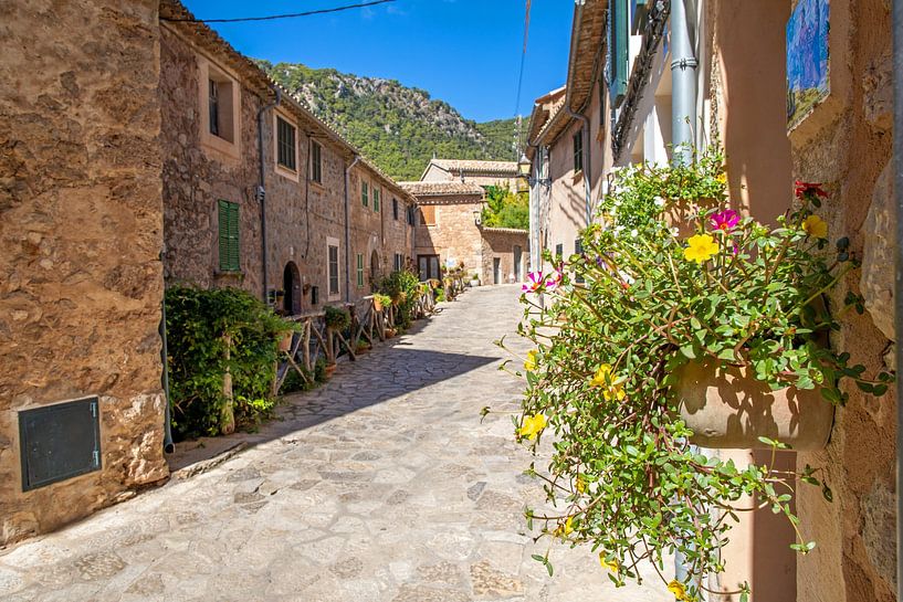 Mallorca - Valldemossa by t.ART