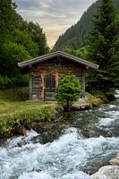 Cabin in the woods