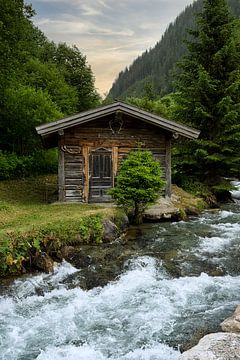 Cabin in the woods van Saranda in 't Veld Fotografie