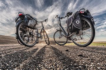 Fietsen in de zomer op de Waddendijk van Friesland