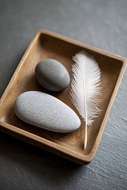 Grey stones and white feather by Imperial Art House