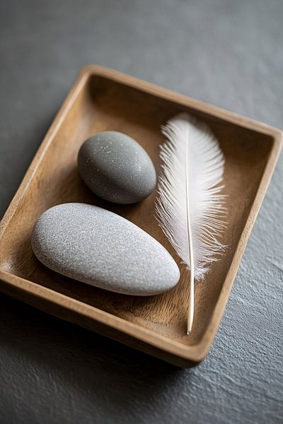 Pierres grises et plume blanche par Imperial Art House