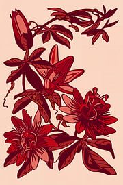 Passionflower | Roze Rood | Illustratie | Retro by Jansje Kamphuis