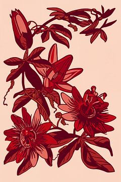 Passiebloem | Roze Rood | Illustratie | Retro van Jansje Kamphuis