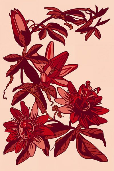 Passiebloem | Roze Rood | Illustratie | Retro van Jansje Kamphuis