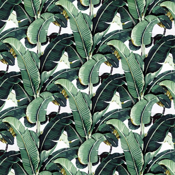 Matinique Banana Leaf by Marieke de Koning