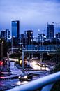 Flaneren over de A 13 | Rotterdam | 16-4-2016 van Shui Fan thumbnail