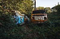 Transporter im Wald