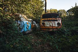 Vans in the woods van The Decay Hunter