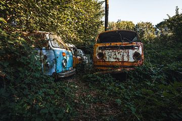 Vans in the woods