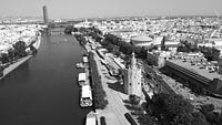 Torre del Oro Black and White