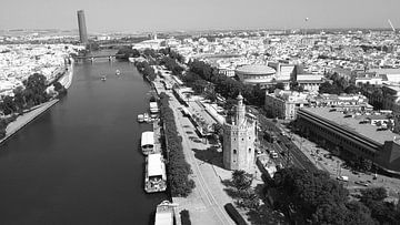 Torre del Oro Black and White by Drone Europa