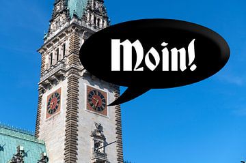 Moin! by Grüntyers .
