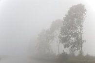 Bomen in de mist  van Ronald Wilfred Jansen thumbnail