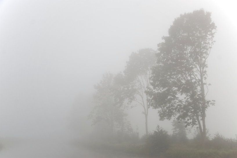 Bomen in de mist  van Ronald Wilfred Jansen