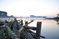 Fog above the water at sunrise
