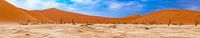 Panorama picture of Deadvlei in the Namib Desert, Sossusvlei, Namibia, Africa by Patrick Groß thumbnail