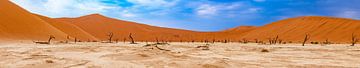 Panoramafoto van Deadvlei in de Namib-woestijn, Sossusvlei, Namibië, Afrika van Patrick Groß