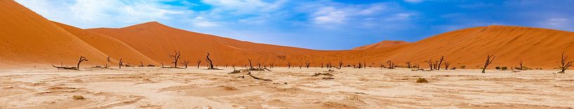 Panorama picture of Deadvlei in the Namib Desert, Sossusvlei, Namibia, Africa by Patrick Groß