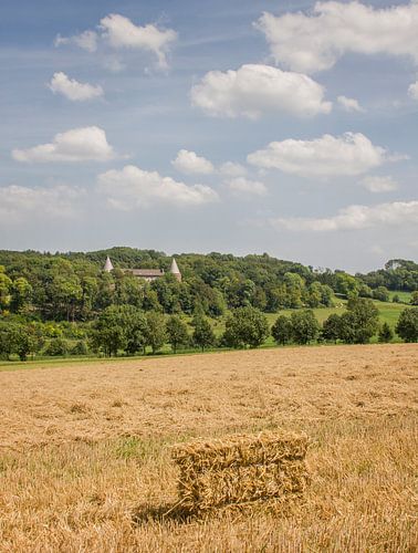 Hooitijd rond Klooster Mamelis